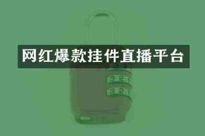 网红爆款挂件直播平台