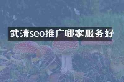 武清seo推广哪家服务好