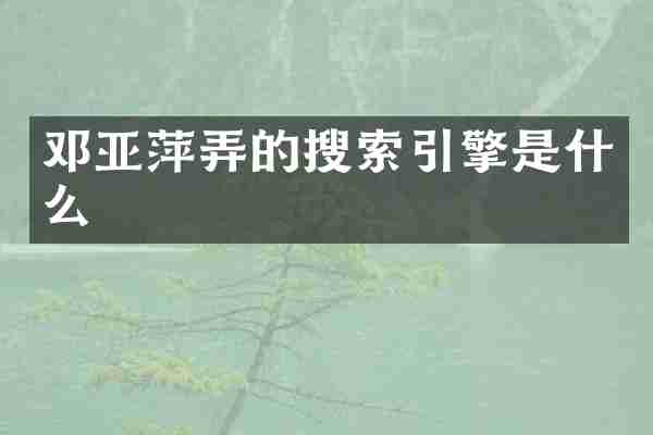 邓亚萍弄的搜索引擎是什么