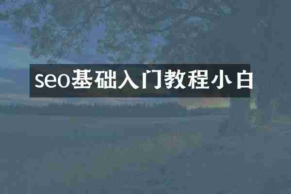 seo基础入门教程小白