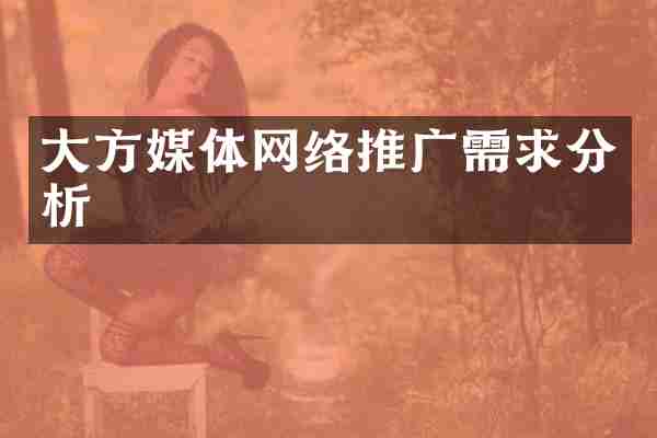 大方媒体网络推广需求分析