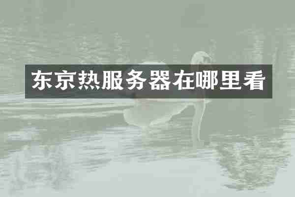 东京热服务器在哪里看