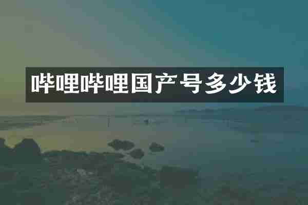 哔哩哔哩国产号多少钱