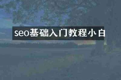 seo基础入门教程小白