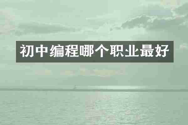 初中编程哪个职业最好