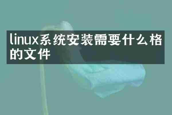 linux系统安装需要什么格式的文件