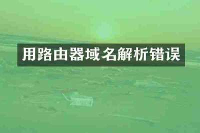 用路由器域名解析错误