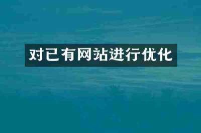 对已有网站进行优化
