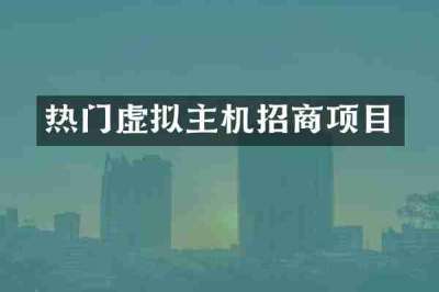 热门虚拟主机招商项目