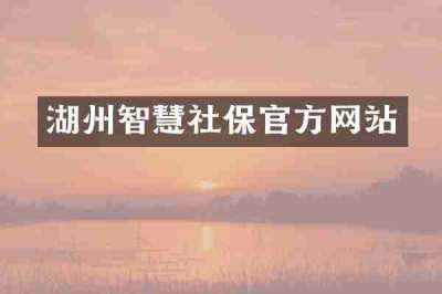 湖州智慧社保官方网站