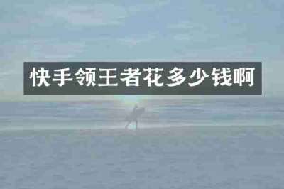 快手领王者花多少钱啊