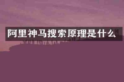 阿里神马搜索原理是什么