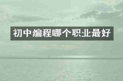 初中编程哪个职业最好
