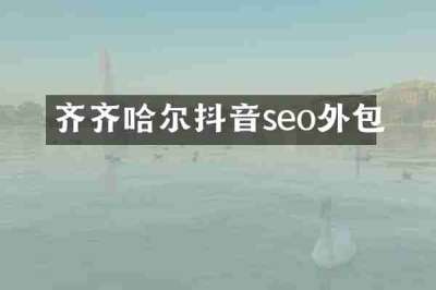 齐齐哈尔抖音seo外包