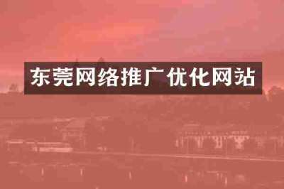 东莞网络推广优化网站