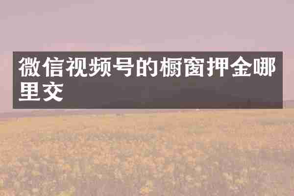 微信视频号的橱窗押金哪里交