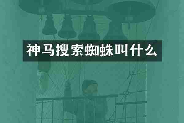 神马搜索蜘蛛叫什么
