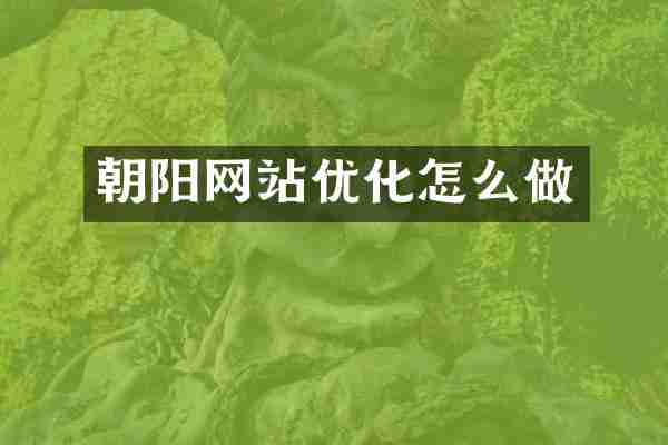 朝阳网站优化怎么做