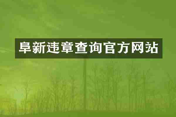 阜新违章查询官方网站
