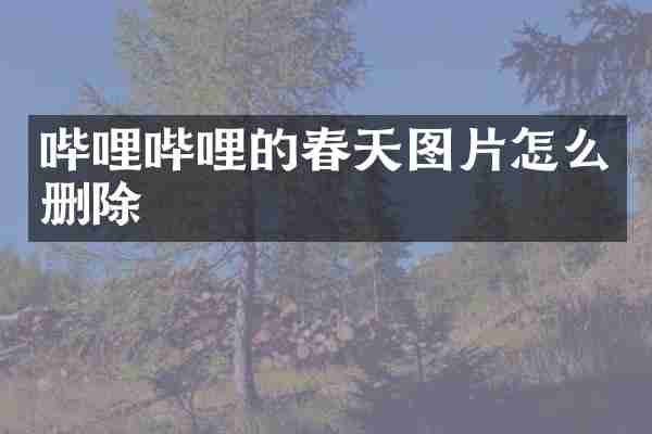 哔哩哔哩的春天图片怎么删除