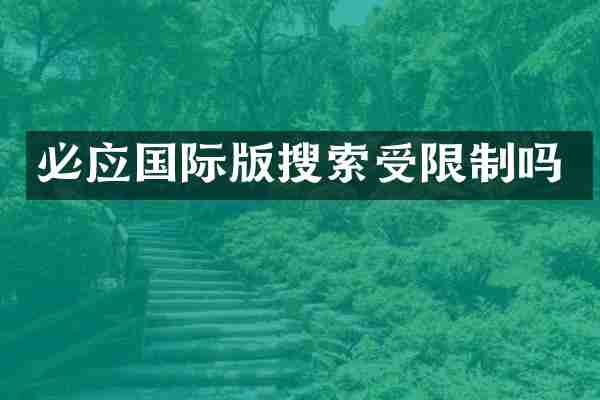 必应国际版搜索受限制吗