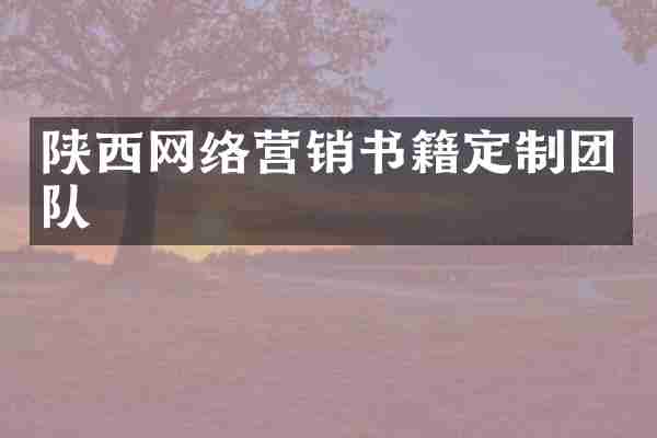 陕西网络营销书籍定制团队