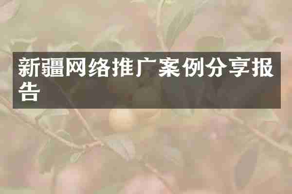新疆网络推广案例分享报告
