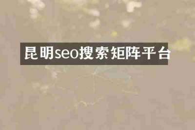 昆明seo搜索矩阵平台