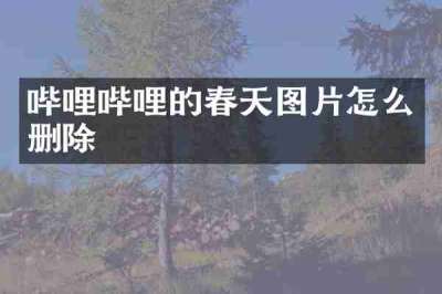 哔哩哔哩的春天图片怎么删除