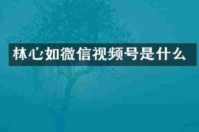林心如微信视频号是什么