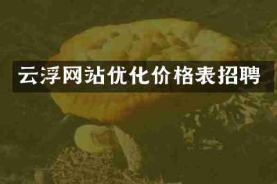 云浮网站优化价格表招聘