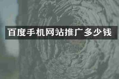 百度手机网站推广多少钱
