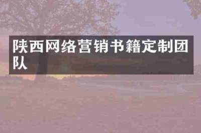 陕西网络营销书籍定制团队