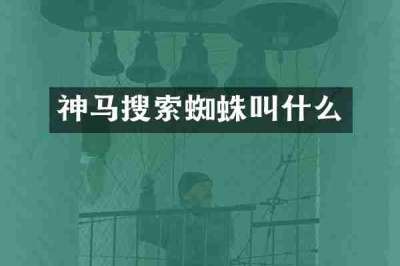神马搜索蜘蛛叫什么