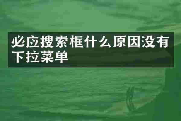 必应搜索框什么原因没有下拉菜单