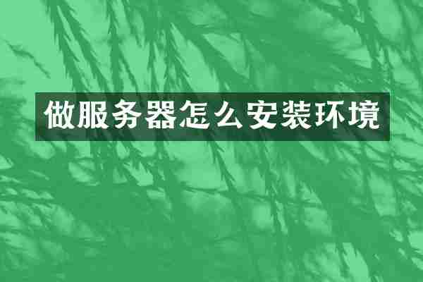 做服务器怎么安装环境