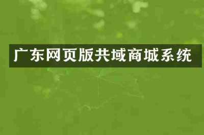 广东网页版共域商城系统
