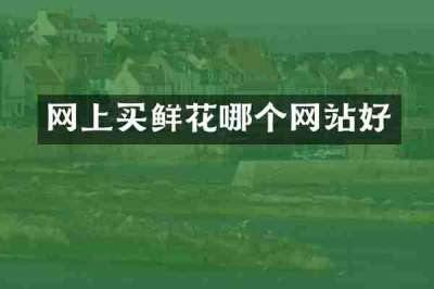 网上买鲜花哪个网站好