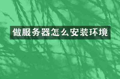 做服务器怎么安装环境