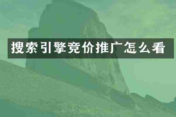 搜索引擎竞价推广怎么看