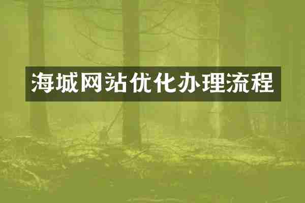 海城网站优化办理流程