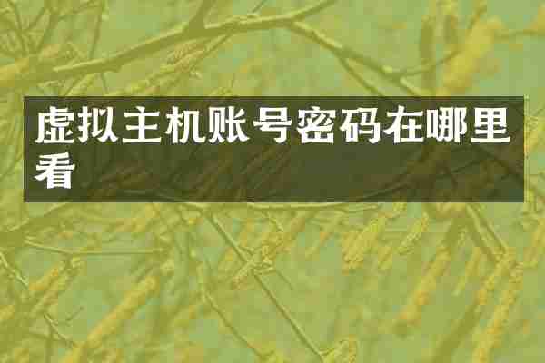 虚拟主机账号密码在哪里看