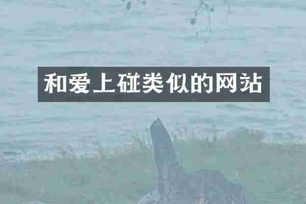 和类似的网站