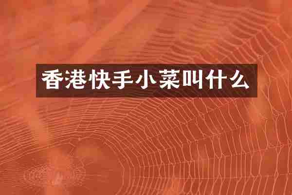 香港快手小菜叫什么