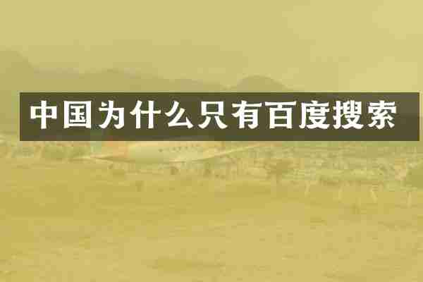 中国为什么只有百度搜索