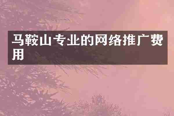 马鞍山专业的网络推广费用