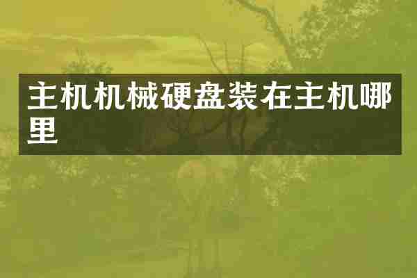 主机机械硬盘装在主机哪里