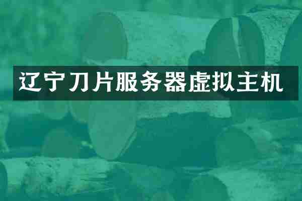 辽宁刀片服务器虚拟主机