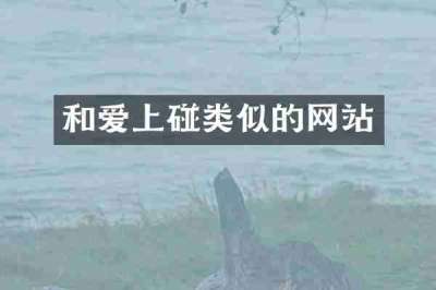 和爱上碰类似的网站