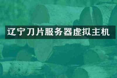 辽宁刀片服务器虚拟主机